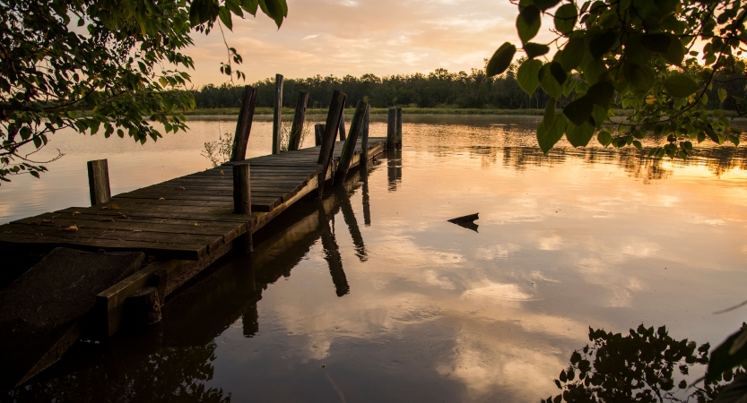 a dock rests on very still water at either sun rise or sunset, reflecting the golden light. There is a line of trees in the background, and leaves framing the edges of the photo in the foreground. 